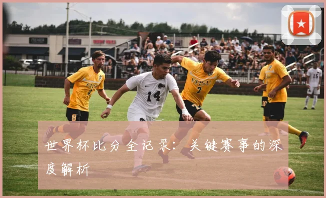 世界杯比分全记录：关键赛事的深度解析
