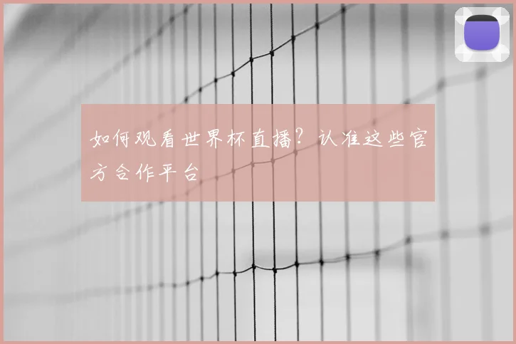 如何观看世界杯直播？认准这些官方合作平台