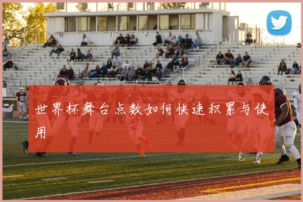 世界杯舞台点数如何快速积累与使用