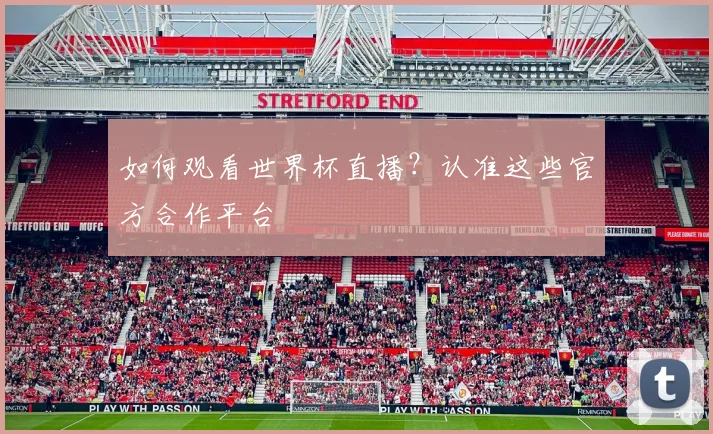 如何观看世界杯直播?认准这些官方合作平台