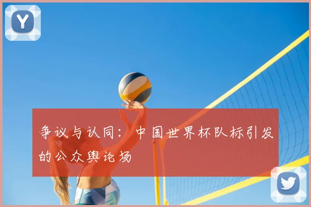 争议与认同：中国世界杯队标引发的公众舆论场