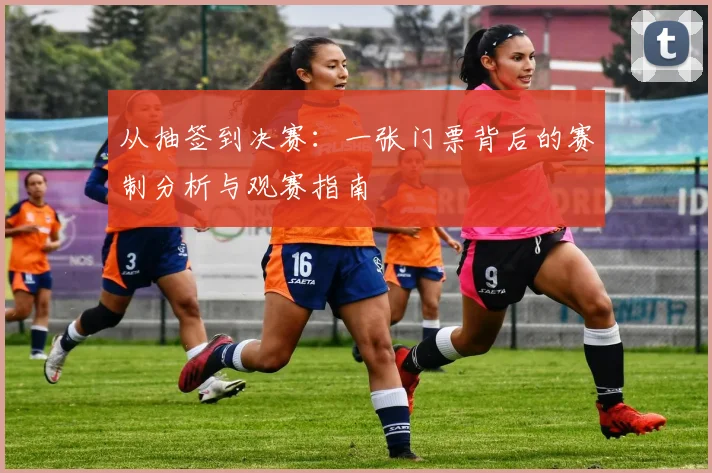 从抽签到决赛：一张门票背后的赛制分析与观赛指南