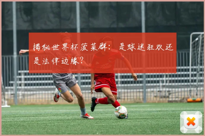 揭秘世界杯菠菜群：是球迷狂欢还是法律边缘？