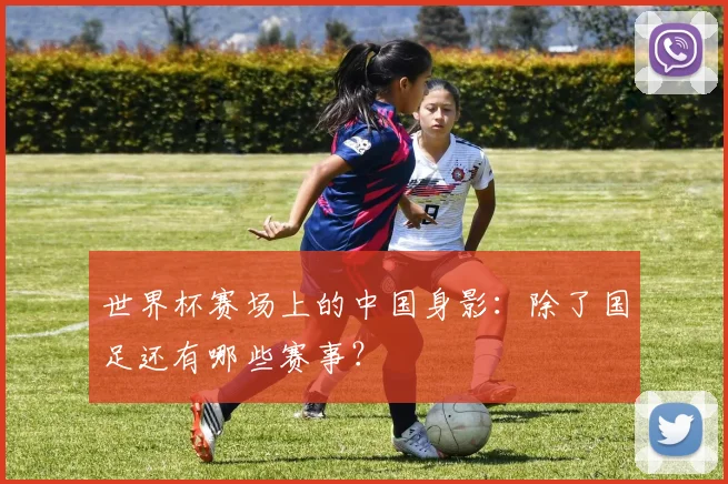 世界杯赛场上的中国身影：除了国足还有哪些赛事？