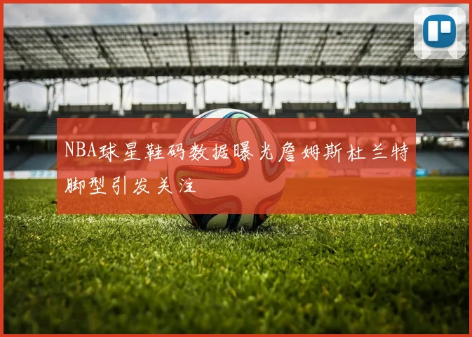 NBA球星鞋码数据曝光詹姆斯杜兰特脚型引发关注