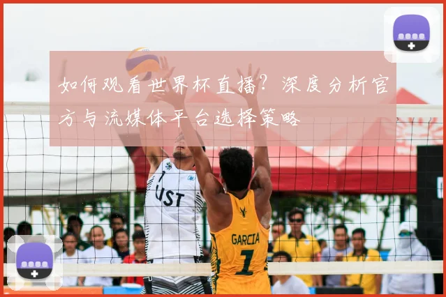 如何观看世界杯直播?深度分析官方与流媒体平台选择策略