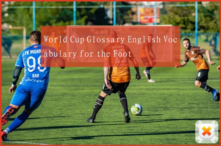World Cup Glossary English Vocabulary for the Foot