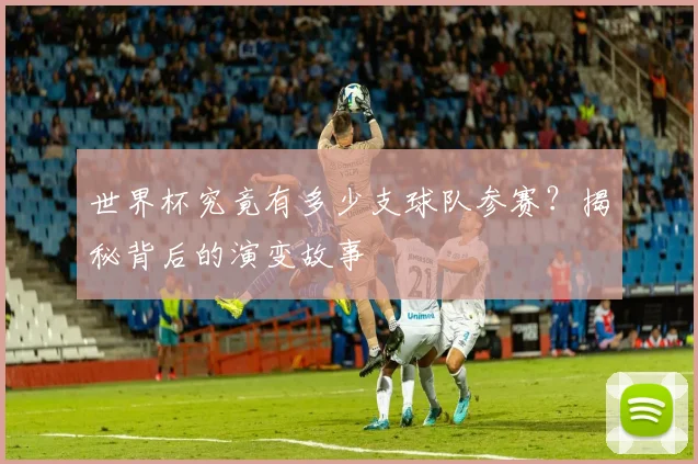 世界杯究竟有多少支球队参赛?揭秘背后的演变故事