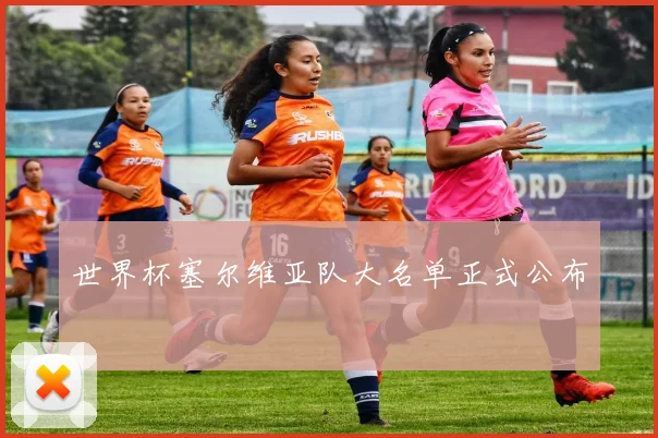 世界杯塞尔维亚队大名单正式公布