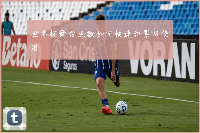 世界杯舞台点数如何快速积累与使用
